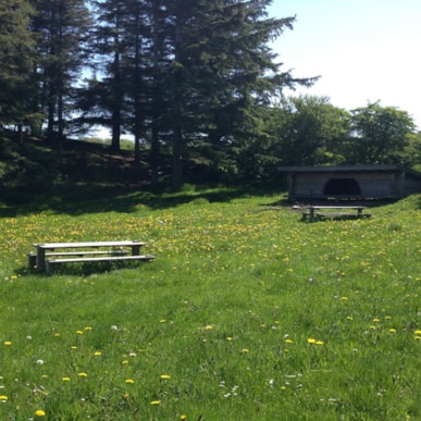 Fur Rødstenen Naturlejrplads