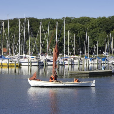 Skive Søsports Havn