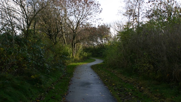 The Vestsalling Trail - 24 km