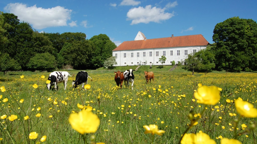 Ørslev Kloster Retreat