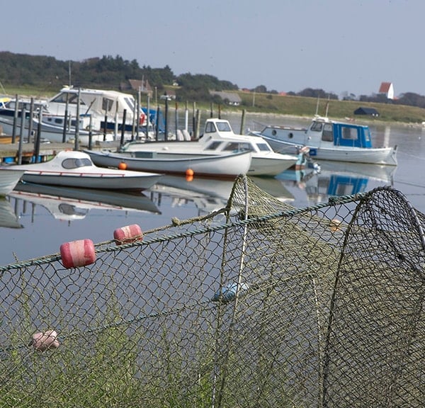 Lystfiskeri: Thyholm og Jegindø