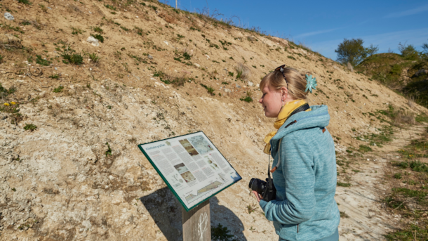 Klintholm Kalkgrave - limestone quarry