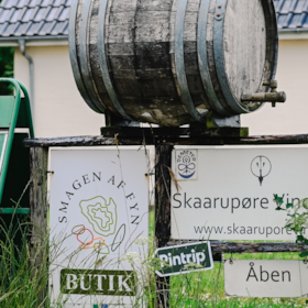 Skaarupøre Vingaard