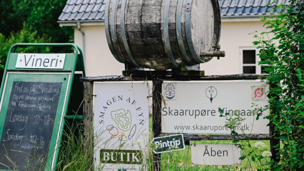 Skaarupøre Vingaard