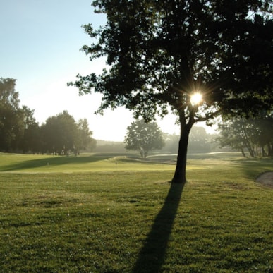 Svendborg Golf Klub