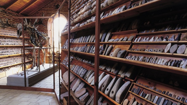 Svendborg Museum - Oldsagssamlingen ved Broholm Slot