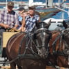Horse-Drawn Wagon Rides in Sønderborg