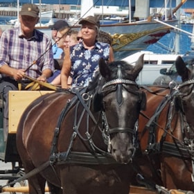 Horse-Drawn Wagon Rides in Sønderborg