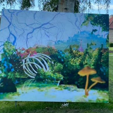 Augustenborg Art Project