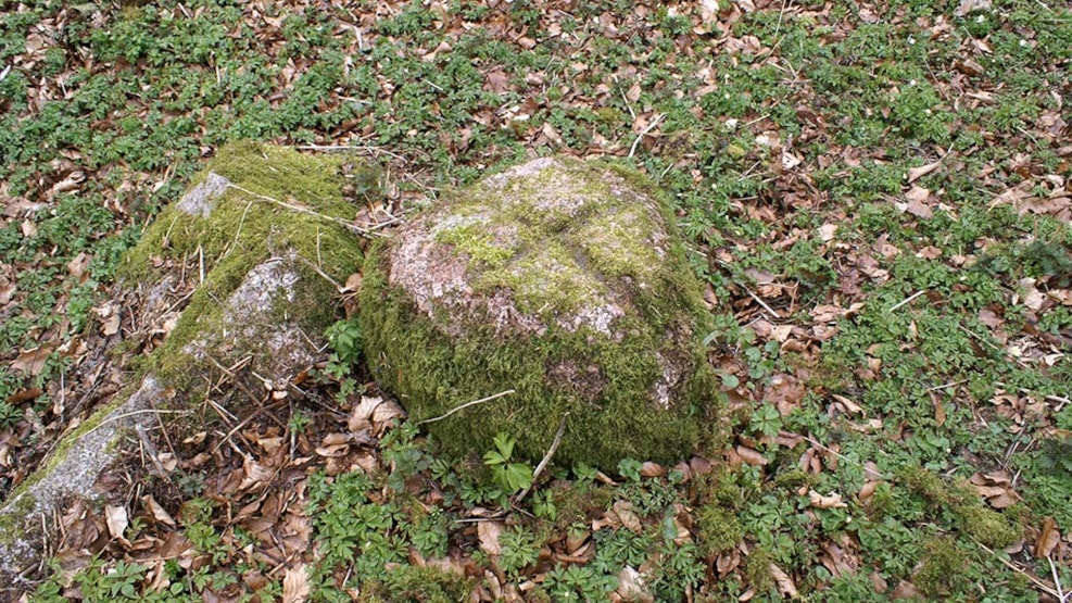 Rumohrsgård Dyrehave - prehistoric relics