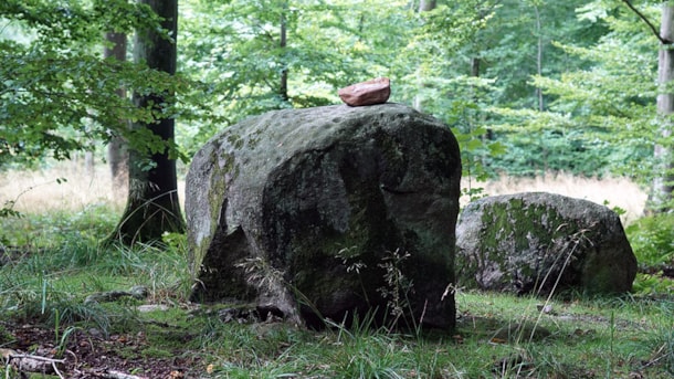 Der Nygaard Stein in Nørreskoven Als