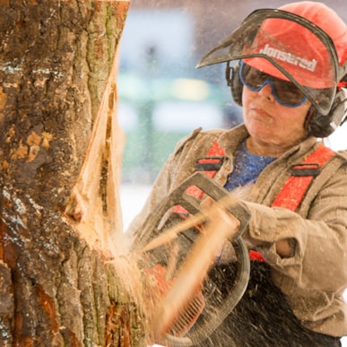 Wood Sculpture Festival i Sønderborg