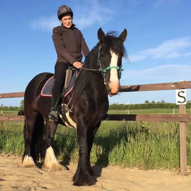 Plovgaard Horseback riding on Sydals