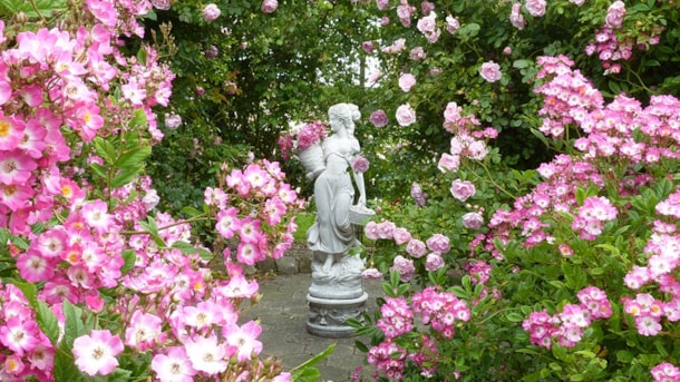 The Rose garden Frederiksgård