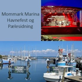 Hafenfest in Mommark