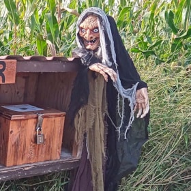 The corn maze at Sønderborg