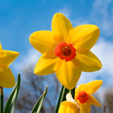 Easter stay - Nørherredhus Hotel