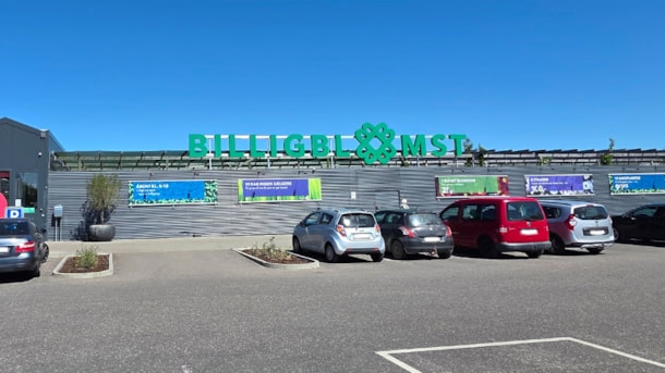 BilligBlomst - Sønderborg