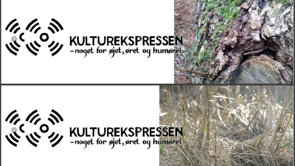 Kulturekspressen