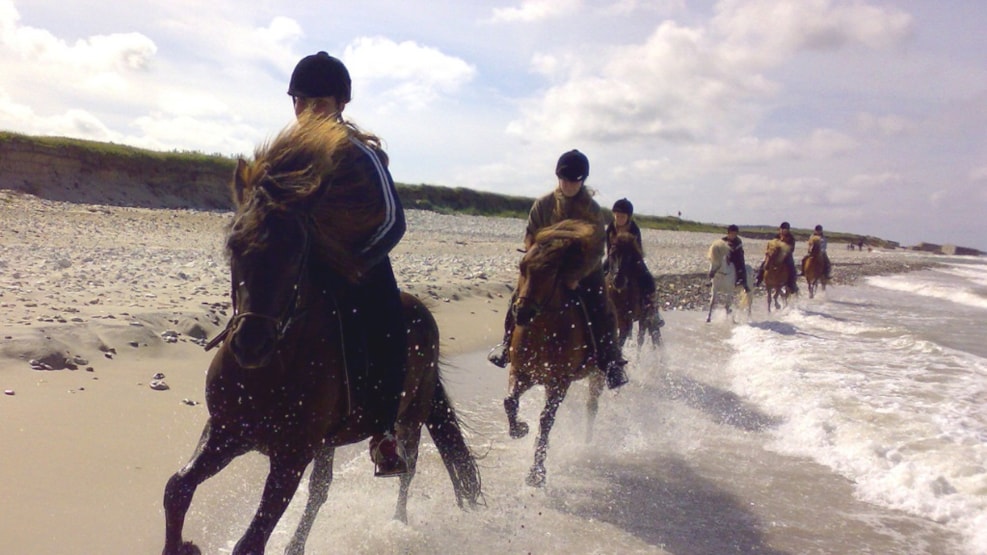 Horseback riding along the North Sea - Thy Feriepark