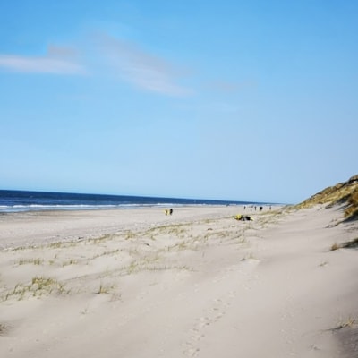 Lyngby Strand i Nationalpark Thy