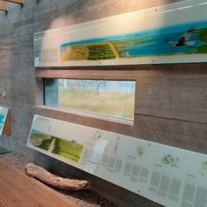 Svaneholmhus - Nationalpark Thy Informationscenter