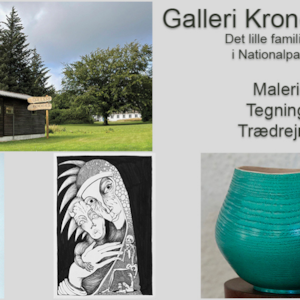 Galerie Kronens Hede