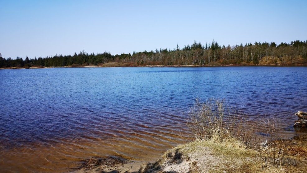 Bathing lake - Per Madsens Kær in National Park Thy