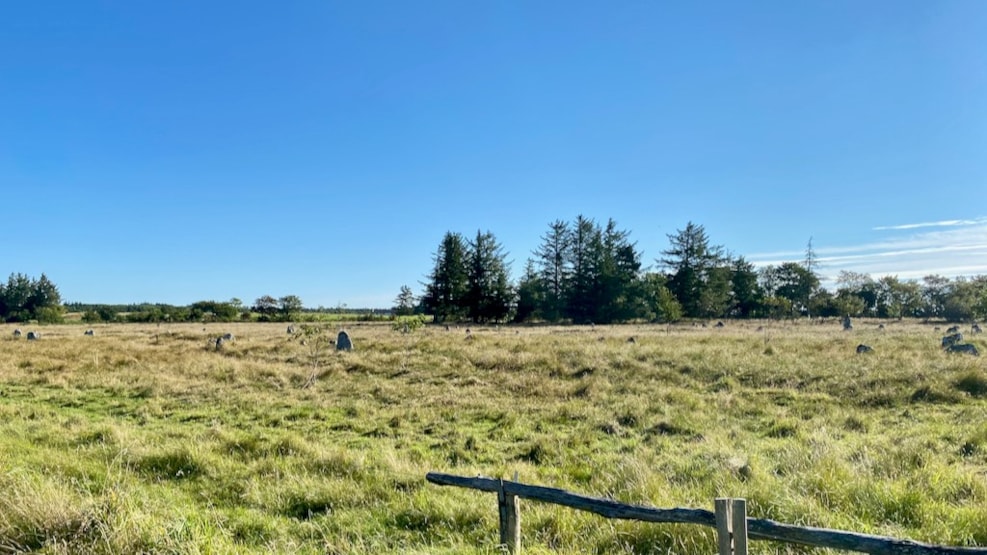 Tømmerby Viking Burial Site