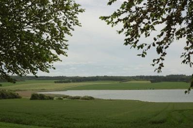 Riding paths in the dune plantations by the lake in Thy National Park