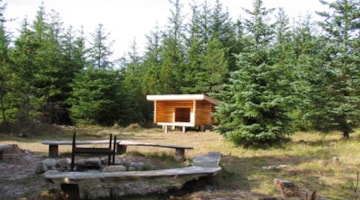 Shelter i Stenbjerg Klitplantage i Nationalpark Thy