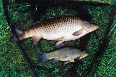 Ballerum Angling Lakes