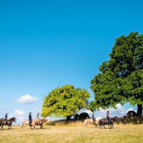 Naturoplevelser til hest med Turridning Langeland