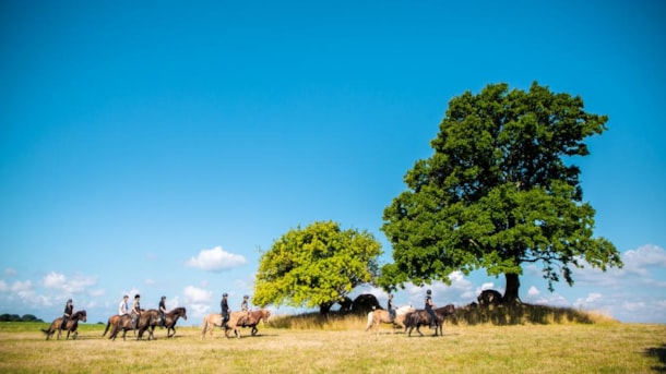 Naturoplevelser til hest med Turridning Langeland