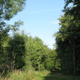 Spaziergang 1,1 km: Sundhedssporet i Humble Byskov