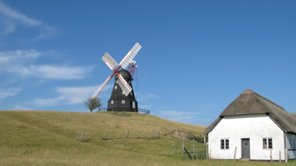 Skovsgaard Mill