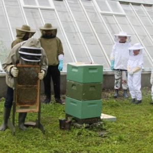Langeland Beekeeping Association