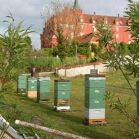 Besucher Imkerei - Langeland Bienenzuchtverband