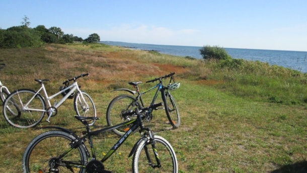 [DELETED] Familie cykeltur til stranden i Spodsbjerg