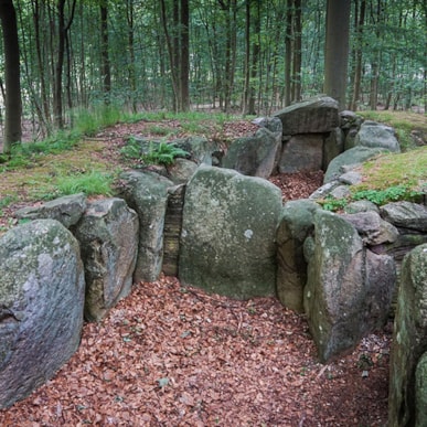 Double passage grave in Tvede Forrest