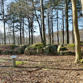 Doppelganggrab in Tvede-Wald