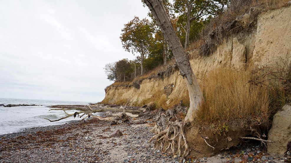 Walking Route: Lunden - Woods and Wetlands