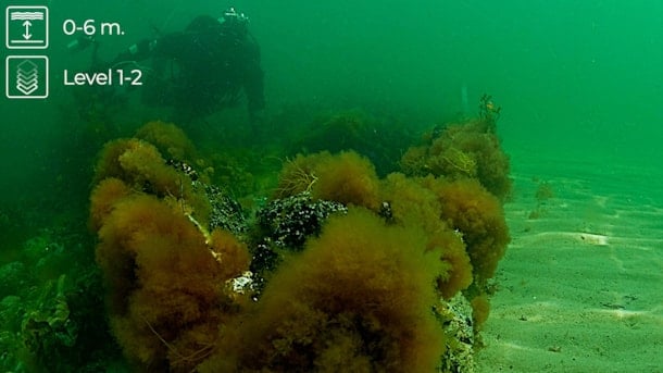 Wreck dive: The Bredbjerg Wreck - The southern part of the Langeland Belt