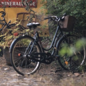 Cykelrute: Rudkøbingruten