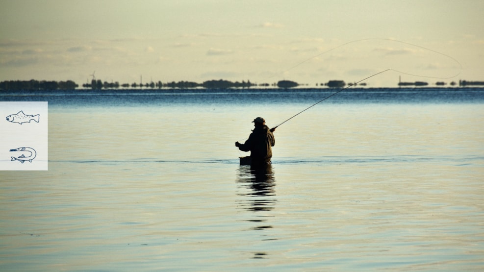 Fishing spot: Helsned