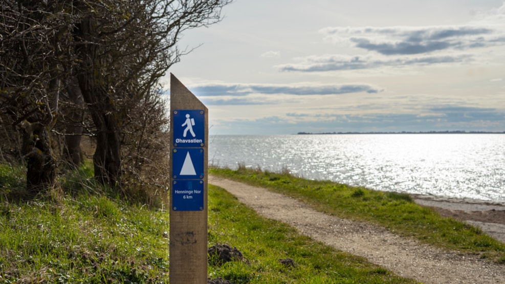 The “Heart Path”, the Archipelago Trail and two beautiful Beech Forests