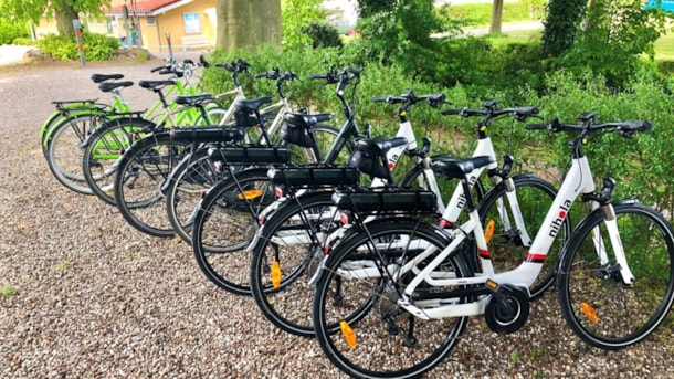 Færgegårdens Camping Spodsbjerg - cykeludlejning - alm. og elcykel