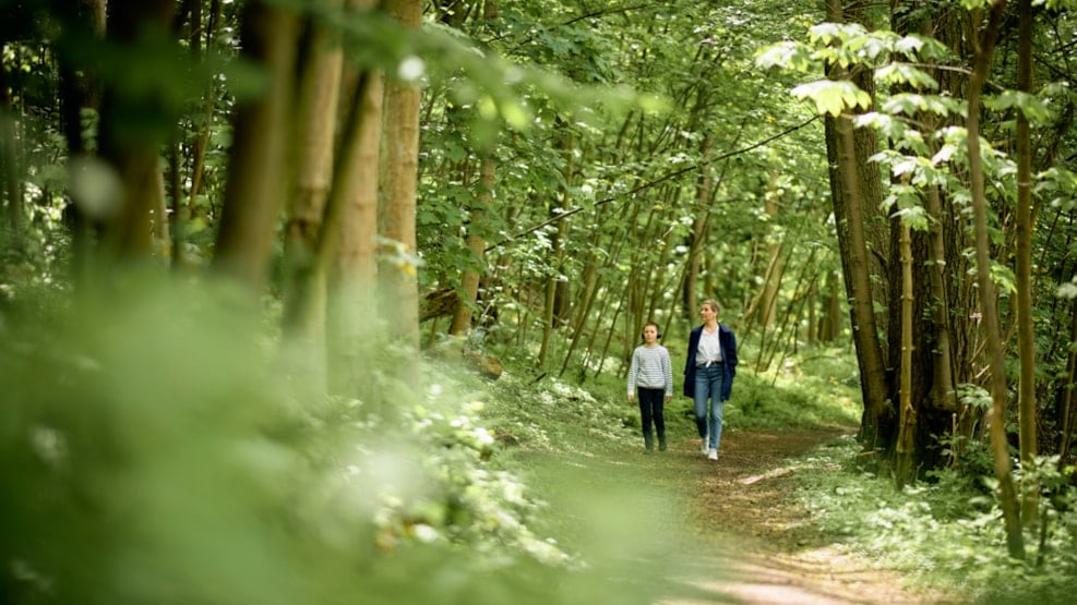 Walking Route 2,7 km: Mørkholm