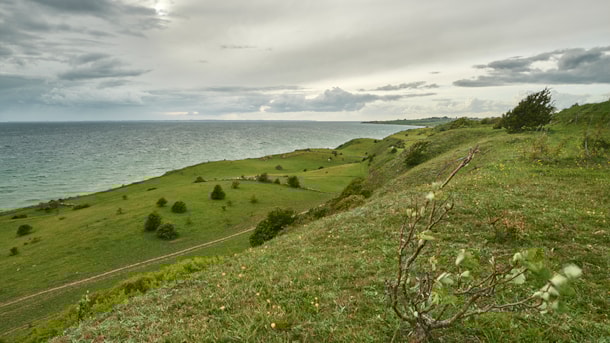Geopark: Voderup Klint 