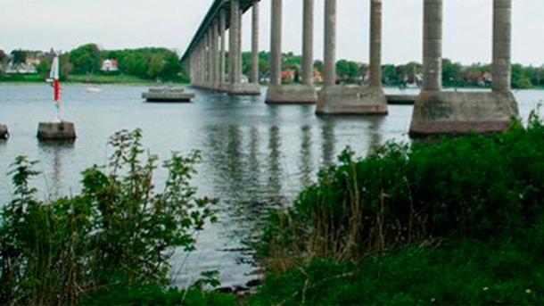Naturdyk: Svendborgsundbroen